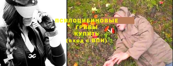 2c-b Богданович