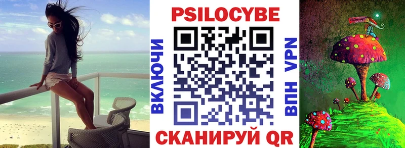 Галлюциногенные грибы Psilocybe  кракен рабочий сайт  Ачхой-Мартан 